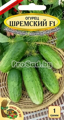 Огурец F1 Шремский (Польша)