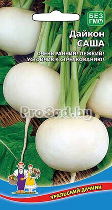 Дайкон Саша