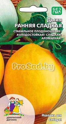 Дыня Ранняя сладкая