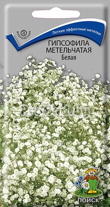 Гипсофила метельчатая Белая
