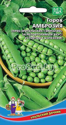 Горох Амброзия