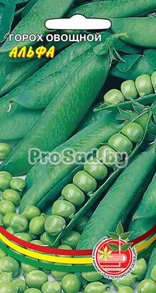 Горох овощной Альфа