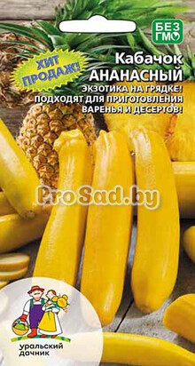 Кабачок Ананасный