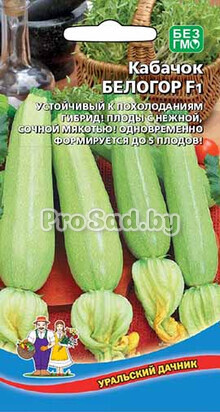 Кабачок F1 Белогор