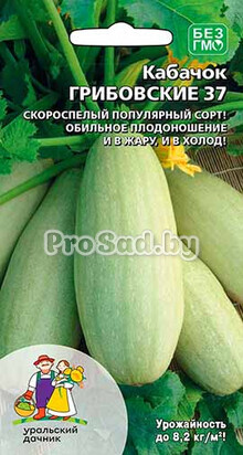 Кабачок Грибовские 37