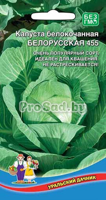 Капуста белокочанная Белорусская 455