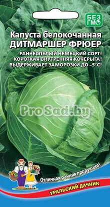 Капуста белокочанная Дитмаршер Фрюер