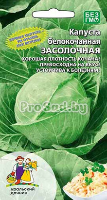 Капуста белокочанная Засолочная