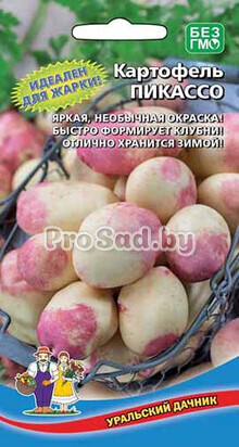 Картофель Пикассо