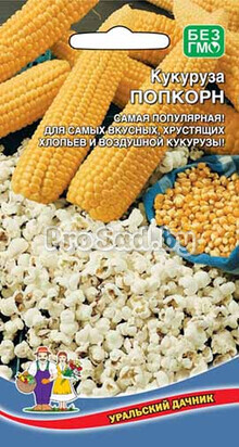 Кукуруза Попкорн