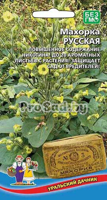 Махорка Русская