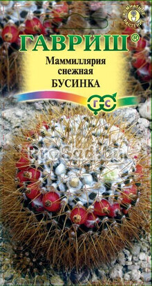 Маммиллярия снежная Бусинка