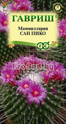 Маммиллярия Толука Сан Пико