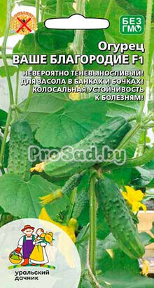 Огурец F1 Ваше благородие