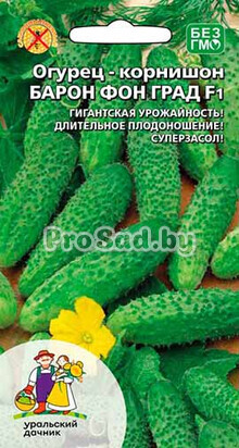 Огурец-корнишон F1 Барон Фон Град