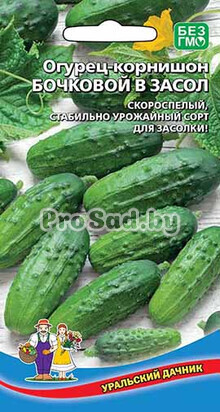 Огурец-корнишон Бочковой в засол