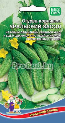 Огурец-корнишон Уральский засол