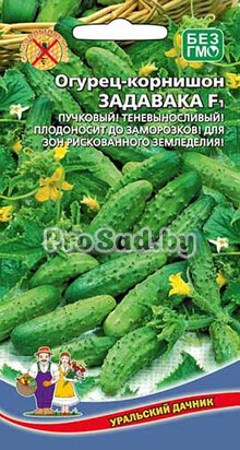 Огурец F1 Задавака