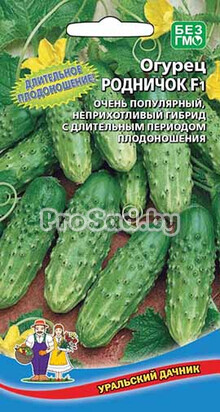 Огурец F1 Родничок