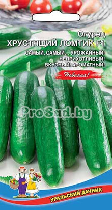 Огурец Хрустящий ломтик F1