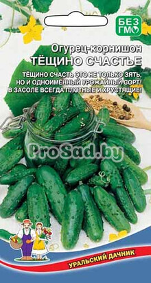 Огурец-корнишон Тёщино счастье