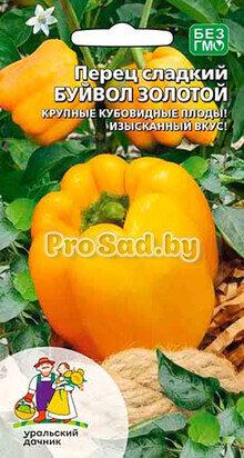 Перец сладкий Буйвол золотой