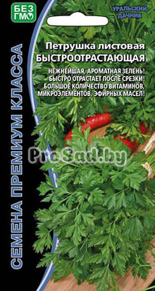 Петрушка листовая Быстроотрастающая