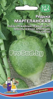 Редька Редька китайская (лоба) Маргеланская