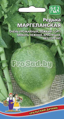 Редька Редька китайская (лоба) Маргеланская