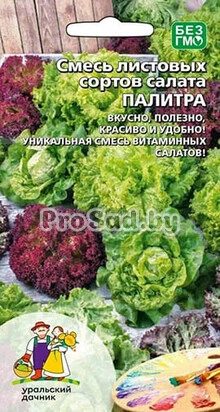 Салат Смесь листовых сортов Палитра