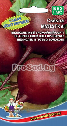 Свекла Мулатка