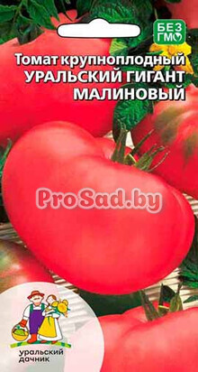 Томат Уральский гигант малиновый
