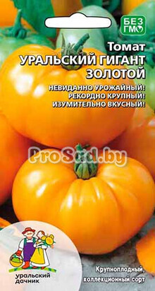 Томат Уральский гигант золотой