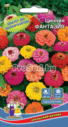 Цинния густомахровая Фантазия