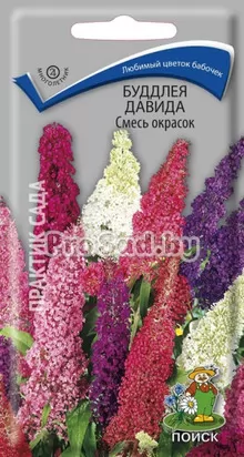 Буддлея Давида Смесь окрасок