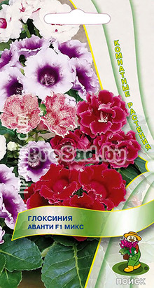 Глоксиния Аванти F1 Микс