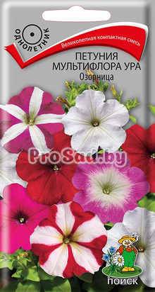 Петуния мультифлора Ура Озорница