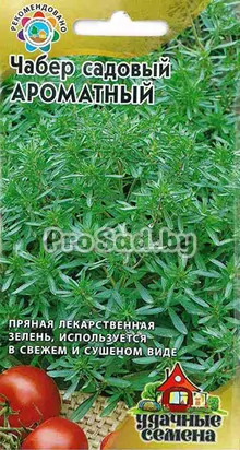 Чабер садовый Ароматный