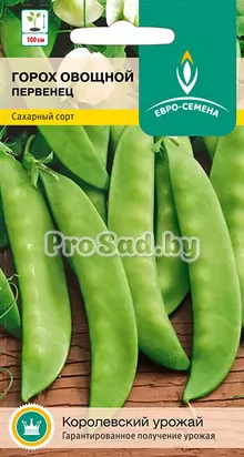 Горох овощной сахарный Первенец (Польша)