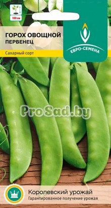 Горох овощной сахарный Первенец (Польша)