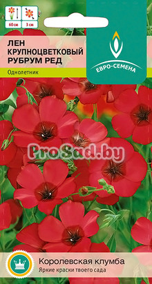 Лён крупноцветковый Рубрум ред