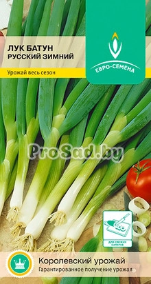 Лук-батун Русский зимний