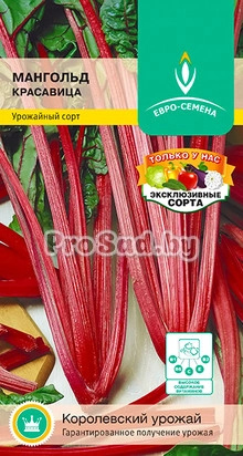 Мангольд Красавица