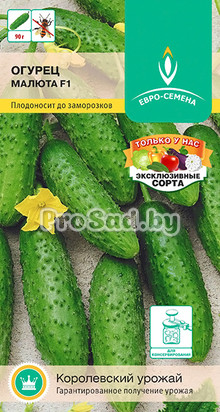 Огурец F1 Малюта