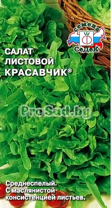 Салат листовой Красавчик