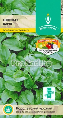 Шпинат Варяг