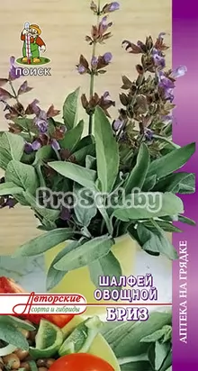 Шалфей овощной Бриз