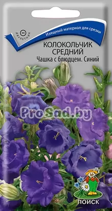 Колокольчик средний Чашка с блюдцем, синий