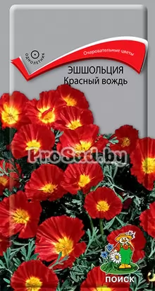 Эшшольция Красный вождь