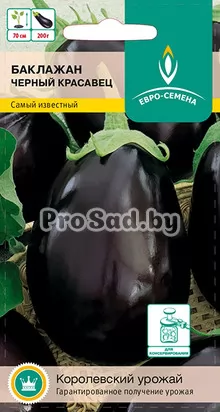 Баклажан Чёрный красавец
